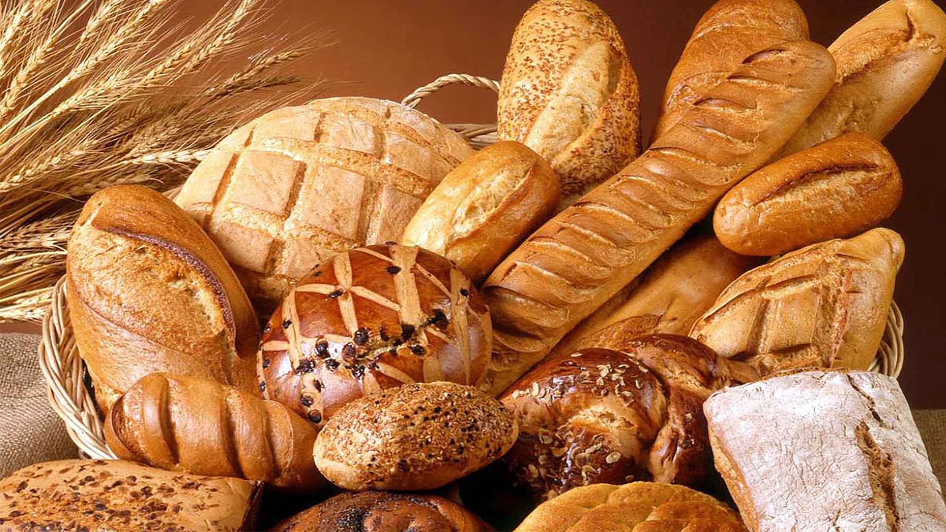 Wattle Crust Bakery
